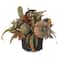 15" Green Fall Pumpkin & Berry Table Arrangement in Twig Base